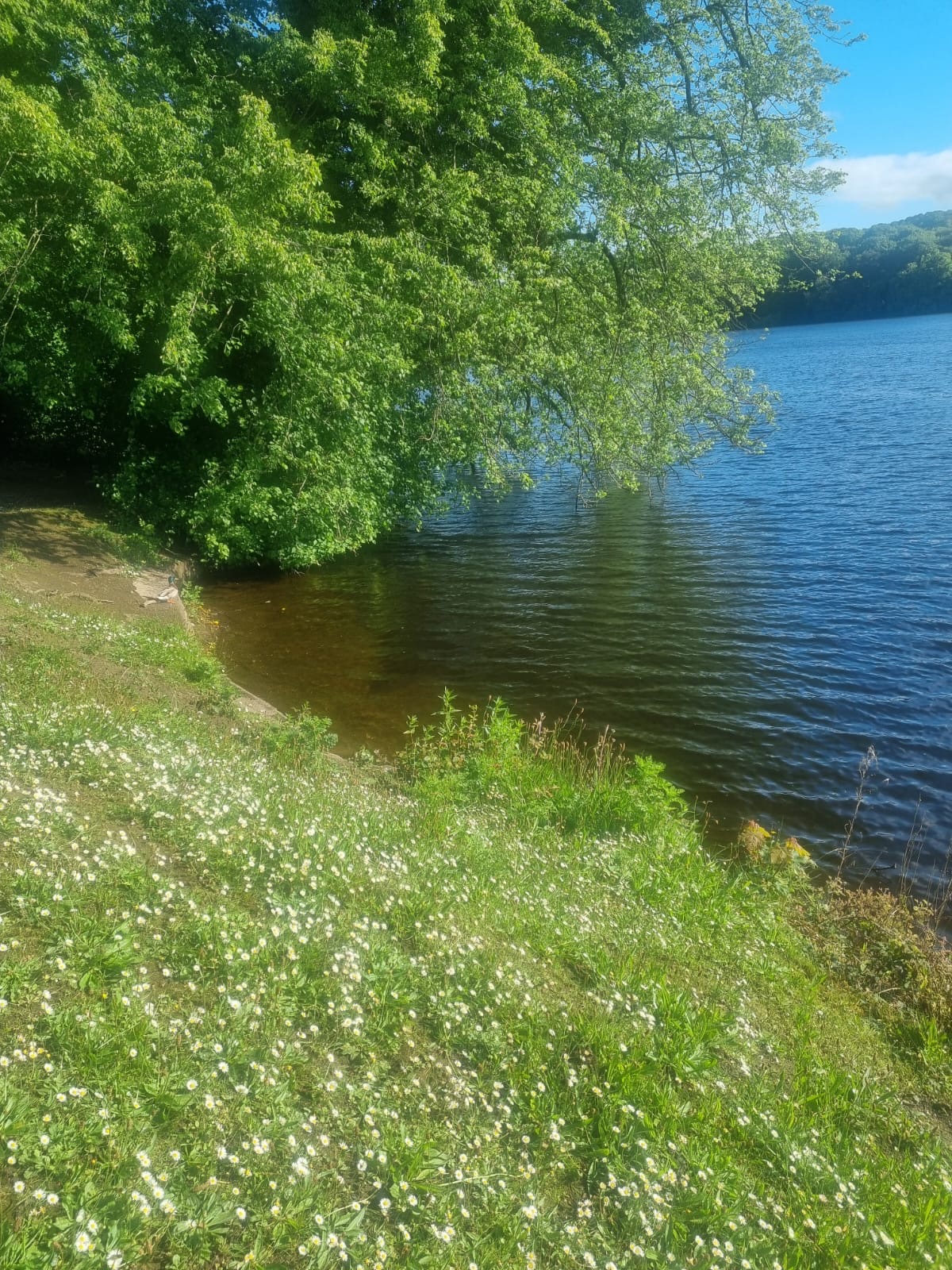 Knypersley Reservoir