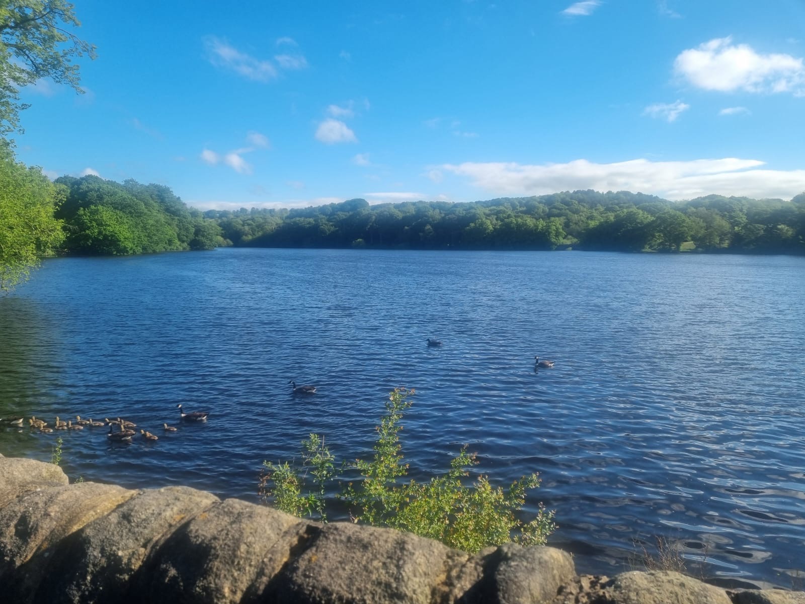 Knypersley Reservoir